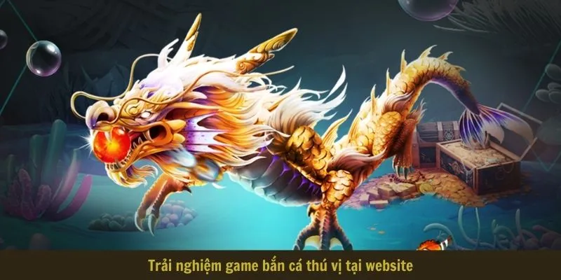 Nohu78 - Khám Phá Nhà Cái Với Dịch Vụ Top 1 Thị Trường 7 Trải nghiệm game bắn cá thú vị tại website
